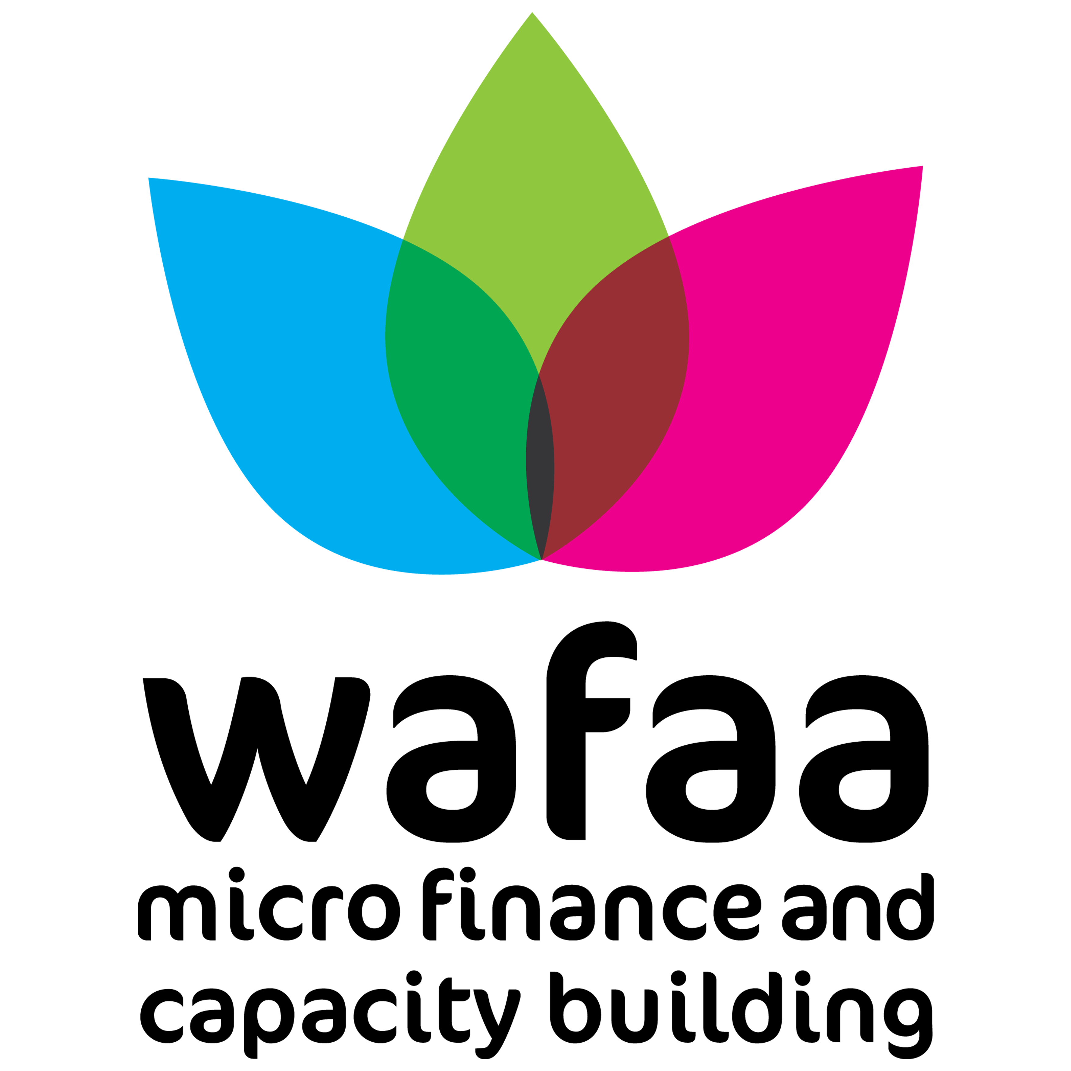 Wafa Foundation for Development and Capacity Building – Palestine